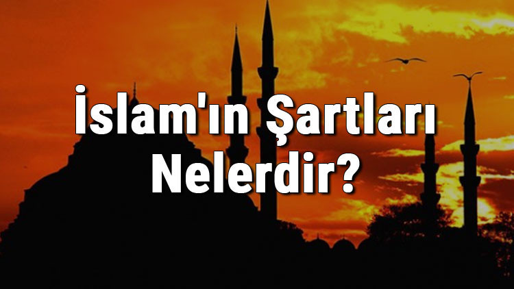 İslamın Şartları Nelerdir İslamın Şartı Kaç Tanedir İslamın Şartları İle İlgili Ayetler Ve Hadisler (Diyanet)