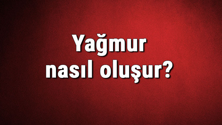 Yağmur nasıl oluşur Yağmurun oluşumu hakkında bilgi