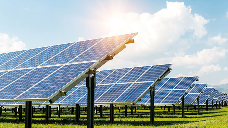 Yeşil enerji virüse takıldı