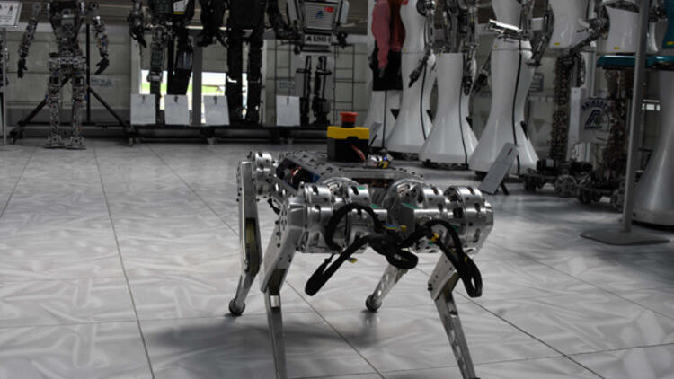 Dört ayaklı yerli robot, tehlikeli işlerin üstesinden gelecek