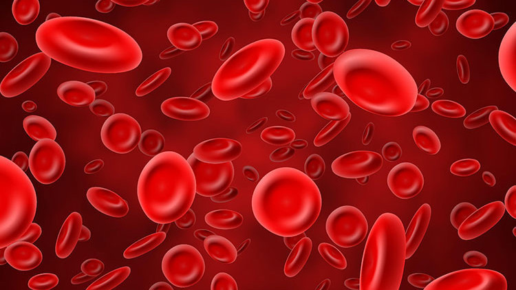 Hemoglobin nedir, normal değeri kaç olmalıdır Hemoglobin düşüklüğü ile yükseliği nedenleri ve belirtileri