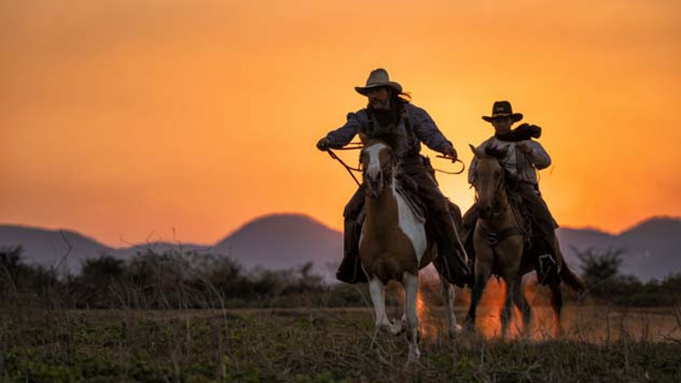 En İyi ve Güzel Kovboy Filmleri - Yeni Ve Eski En Çok İzlenen Kovboy Filmleri Listesi Ve Önerisi (2026)