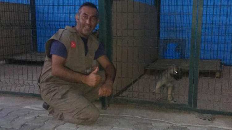 10 gündür kayalıklarda mahsur kalan yavru köpek kurtarıldı