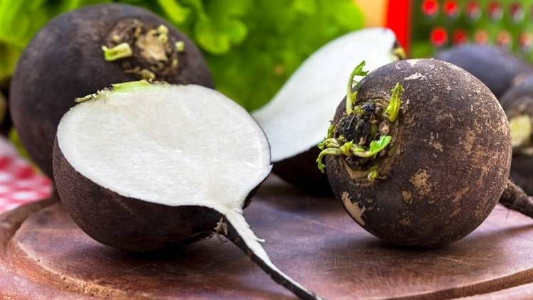 Böbrek taşının çaresi kara turpta