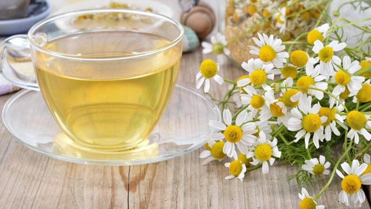 Papatya çayı ömrü uzatıyor