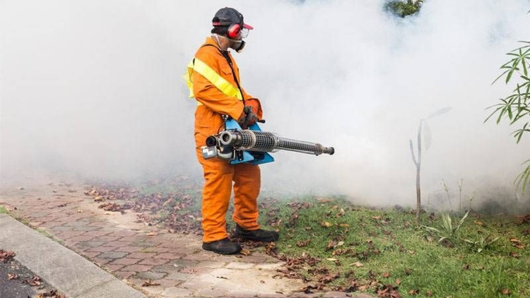 Zika virüsü nedir Zika virüsü belirtileri nelerdir