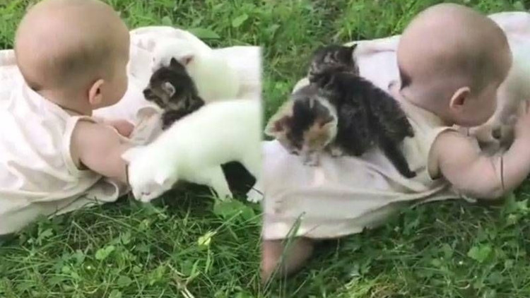 Minik bebeğin yavru kedilerle imtihanı