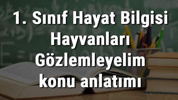 1. Sınıf Hayat Bilgisi Hayvanları Gözlemleyelim konu anlatımı
