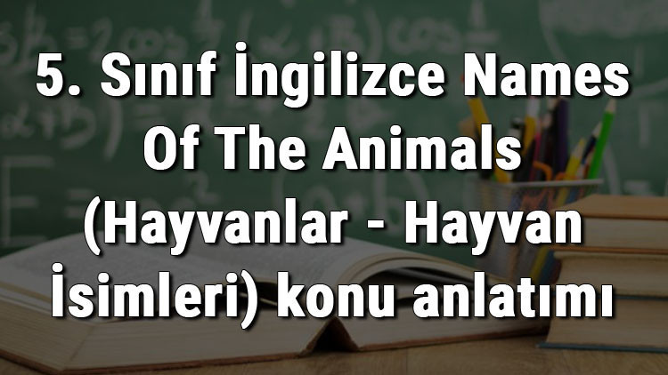 5. Sınıf İngilizce Names Of The Animals (Hayvanlar - Hayvan İsimleri) konu anlatımı
