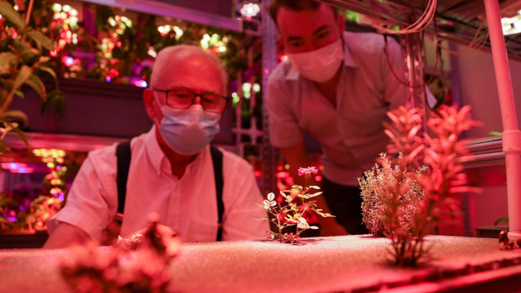 Rektör ve öğrencisi ortak olup yeni nesil bitki tesisi kurdu