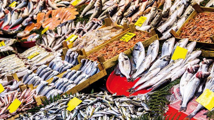 Balık tüketiminde sınıfta kaldık Balık tüketiminde sınıfta kaldık