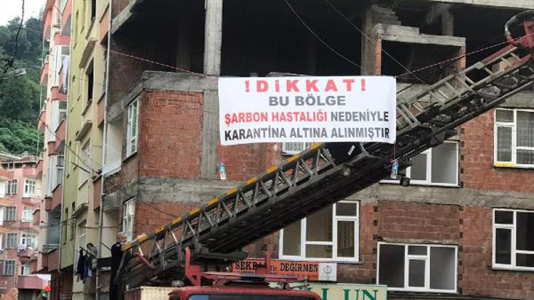 Kesilen büyükbaş şarbonlu çıktı, mahalle karantinaya alındı Kesilen büyükbaş şarbonlu çıktı, mahalle karantinaya alındı