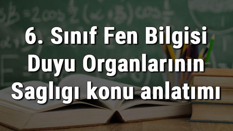 6. Sınıf Fen Bilgisi Duyu Organlarının Sağlığı konu anlatımı