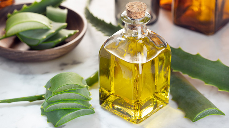 Aloe Vera Yağının Faydaları Neler Ev Yapımı Aloe Vera Yağı Tarifi...