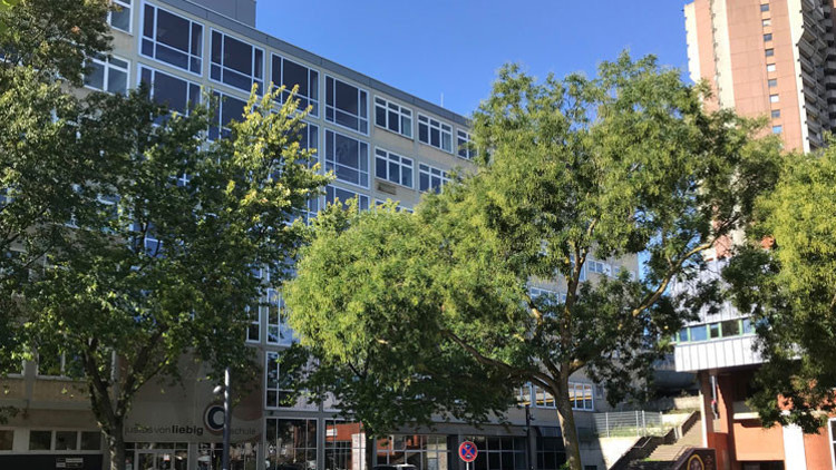 Öğrencilerin yeni okul arkadaşı MintiCity Öğrencilerin yeni okul arkadaşı MintiCity