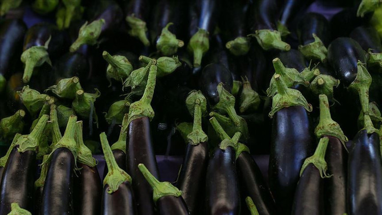 Eylülde fiyatı en fazla artan ürün patlıcan, en çok düşen limon