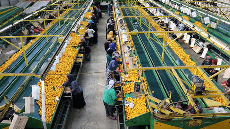 İHRACATÇININ GÜMRÜK ÇİLESİ