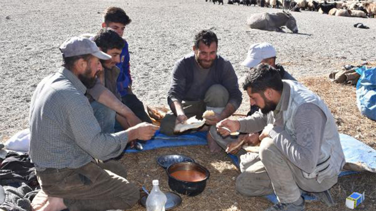 Göçerlerin zorlu sonbahar yolculuğu başladı