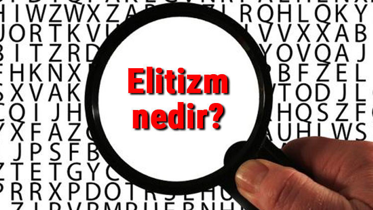 Elitizm nedir Elitizm akımı özellikleri, kurucusu ve temsilcileri