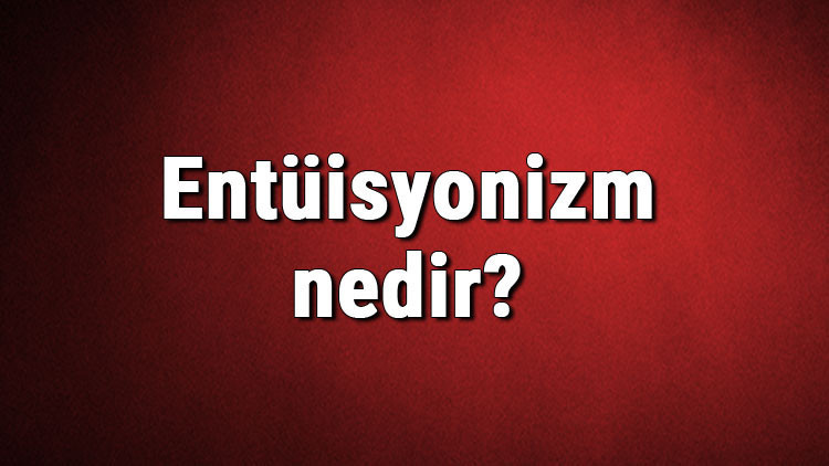 Entüisyonizm nedir Sezgicilik ne demek Felsefede Entüisyonizm (Sezgicilik) akımı özellikleri, kurucusu ve temsilcileri