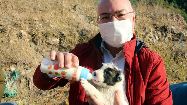 Çöplükteki 9 yavru köpeğe, hayvansever 2 arkadaş sahip çıktı