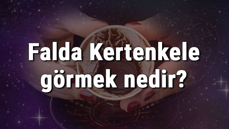Falda Kertenkele görmek nedir Kahve falında kertenkele görmenin anlamı