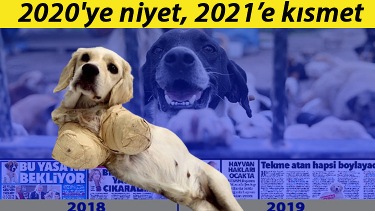 2020ye niyet, 2021e kısmet