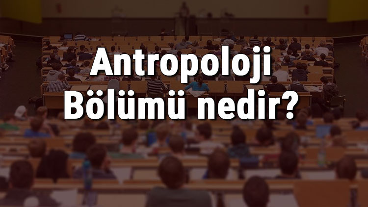 Antropoloji Bölümü nedir ve mezunu ne iş yapar Bölümü olan üniversiteler, dersleri ve iş imkanları