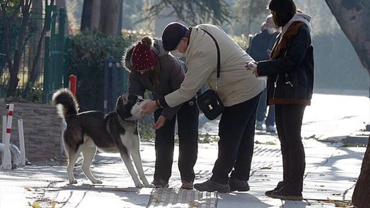 Kısıtlama sonrası pazar sakinliği