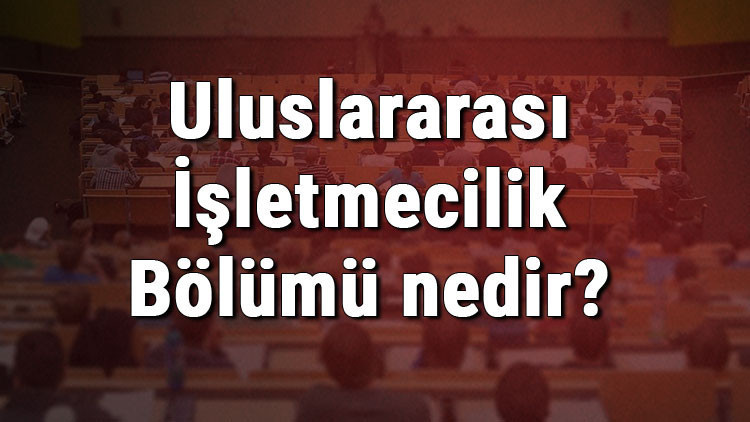 Uluslararası İşletmecilik Bölümü nedir ve mezunu ne iş yapar Bölümü olan üniversiteler, dersleri ve iş imkanları