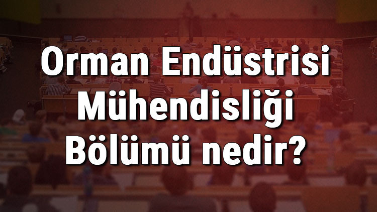 Orman Endüstrisi Mühendisliği Bölümü nedir ve mezunu ne iş yapar Bölümü olan üniversiteler, dersleri ve iş imkanları