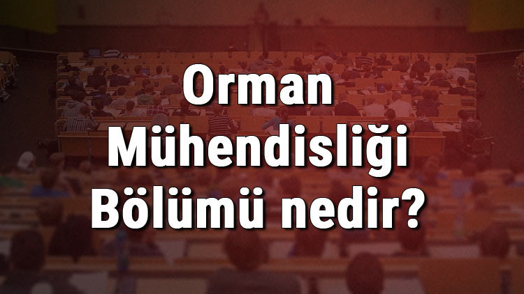 Orman Mühendisliği Bölümü nedir ve mezunu ne iş yapar Bölümü olan üniversiteler, dersleri ve iş imkanları