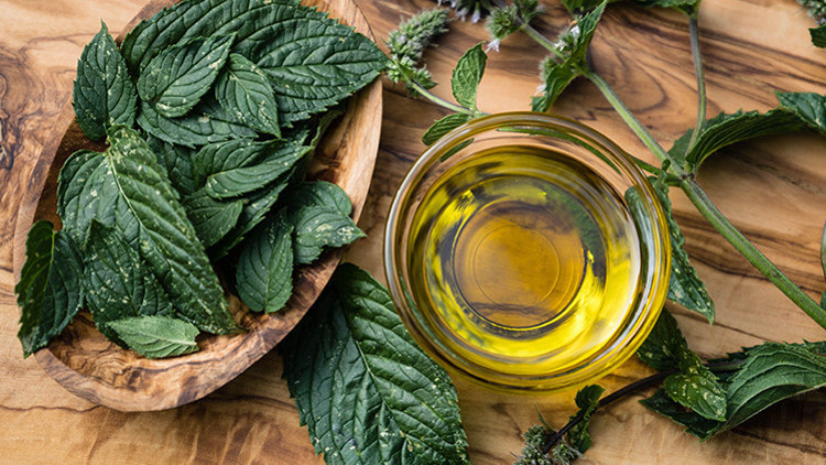 Koronayla Mücadelede Doğal Antibiyotik; Günde 3 Kez Tüketilebilir