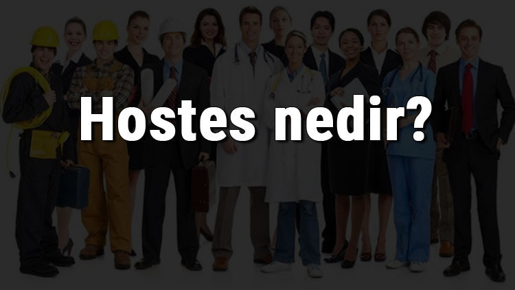Hostes nedir, ne iş yapar ve nasıl olunur Hostes olma şartları, maaşları ve iş imkanları