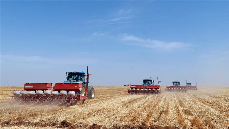 TİGEM 145 teknik personel alacak İşte başvuru şartları TİGEM 145 teknik personel alacak İşte başvuru şartları