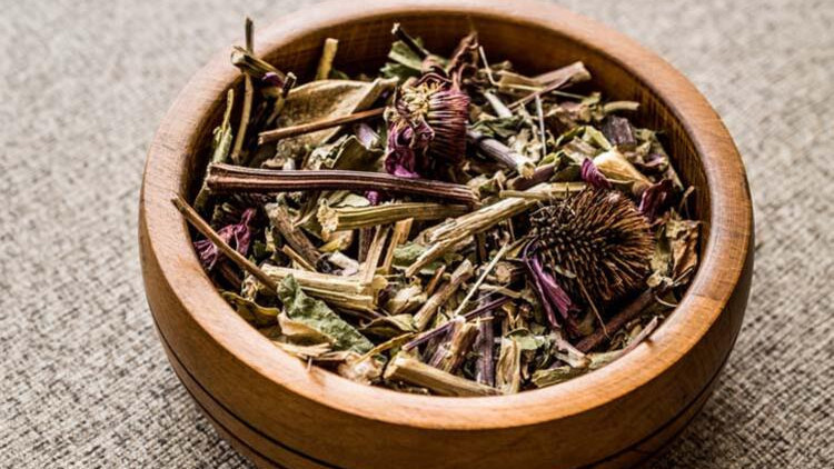 Ekinezya (Kirpi otu) nedir Faydaları nelerdir ve nasıl tüketilmeli