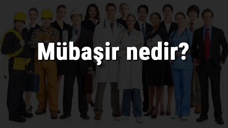 Mübaşir nedir, ne iş yapar ve nasıl olunur Mübaşir olma şartları, maaşları ve iş imkanları