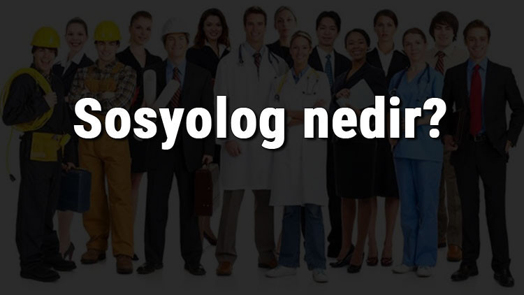 Sosyolog nedir, ne iş yapar ve nasıl olunur Sosyolog olma şartları, maaşları ve iş imkanları Sosyolog nedir, ne iş yapar ve nasıl olunur Sosyolog olma şartları, maaşları ve iş imkanları