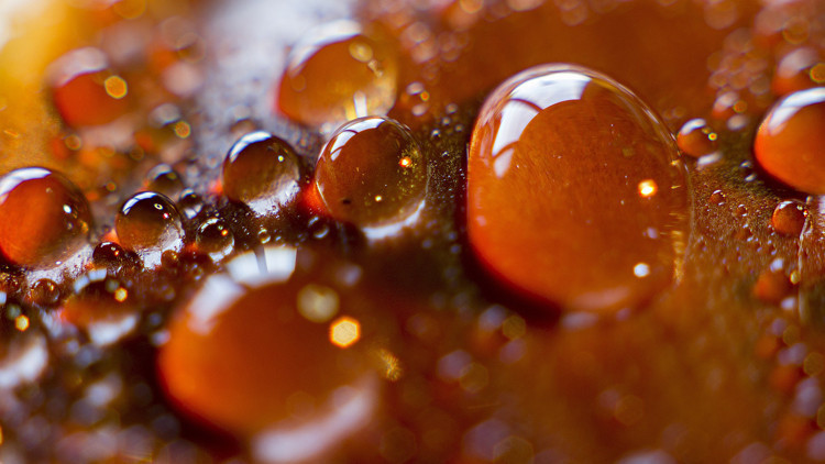 Şimdi kestane balının tam zamanı, öksürüğü bıçak gibi kesiyor Karabiber ile karıştırıp yerseniz… Şimdi kestane balının tam zamanı, öksürüğü bıçak gibi kesiyor Karabiber ile karıştırıp yerseniz…