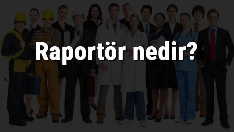 Raportör nedir, ne iş yapar ve nasıl olunur Raportör olma şartları, maaşları ve iş imkanları