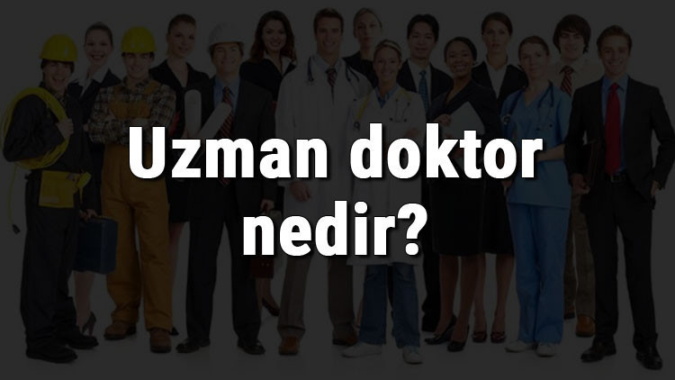 Uzman doktor nedir, ne iş yapar ve nasıl olunur Uzman Doktor olma şartları, maaşları ve iş imkanları Uzman doktor nedir, ne iş yapar ve nasıl olunur Uzman Doktor olma şartları, maaşları ve iş imkanları