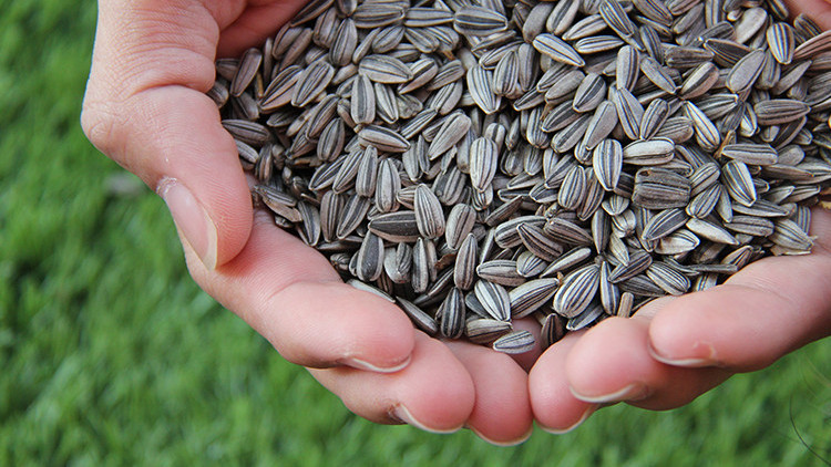 Hastalıkları önlüyor... E vitamininin faydaları nelerdir