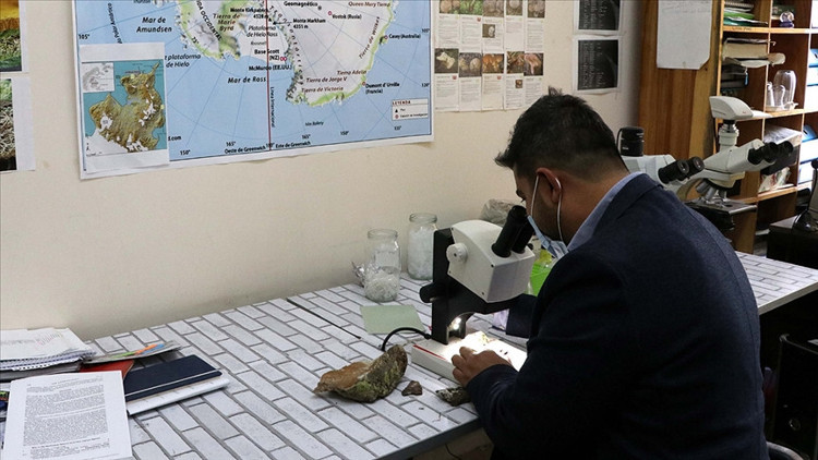 Antarktikadan topladığı likenler ödül kazandırdı Antarktikadan topladığı likenler ödül kazandırdı