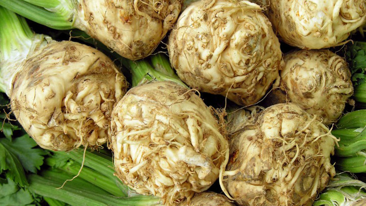 Beslenmenizden eksik etmeyin Kerevizin faydaları saymakla bitmiyor