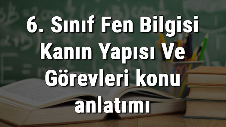 6. Sınıf Fen Bilgisi Kanın Yapısı Ve Görevleri konu anlatımı