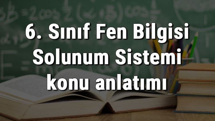 6. Sınıf Fen Bilgisi Solunum Sistemi konu anlatımı