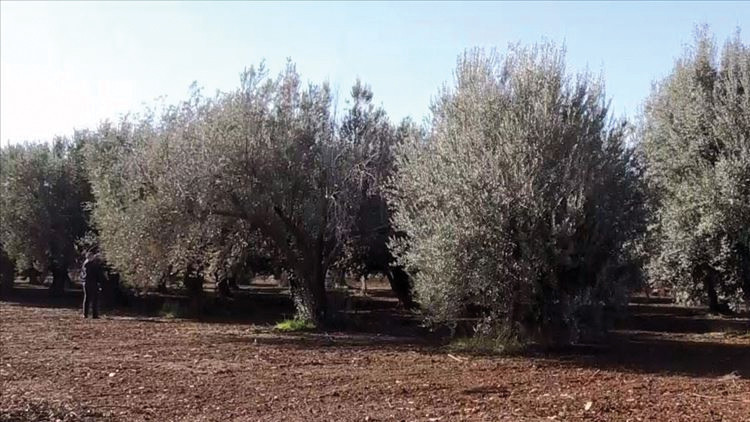 7 ayrı girişime ‘imece’ desteği