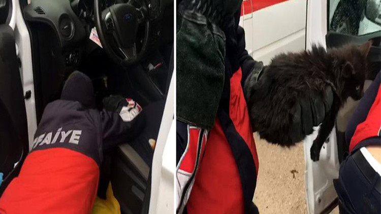 Araç içerisine sıkışan kediyi itfaiye kurtardı