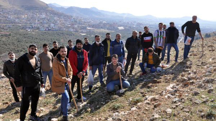 Derikte sosyal medyadan toplanıp bir yılda 1, 5 ton meşe palamudu ektiler
