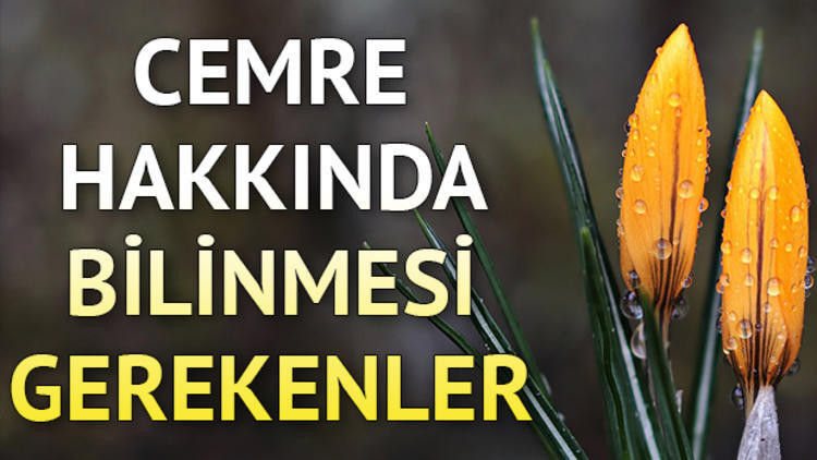 İlk cemre ne zaman düşer İşte birinci cemre düşme tarihi